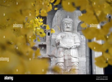 慶陽郵編是多少?慶陽市位於中國西北地區，地理位置獨特，不僅僅是郵政編碼的重要組成部分，它們還蘊含了豐富的文化和歷史背景。