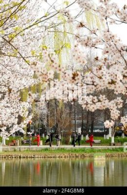 玉合公園怎麼樣 當地居民對此地的看法